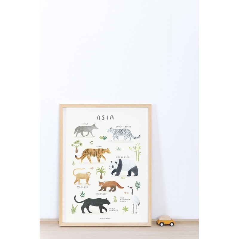 Cadre affiche Animaux d'Asie Cadre affiche Animaux d'Asie